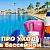 Уход за бассейном: почему вода зеленеет и как это прекратить