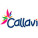 Callavi