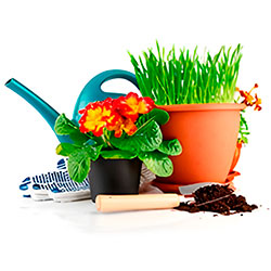 Уход за растениями
