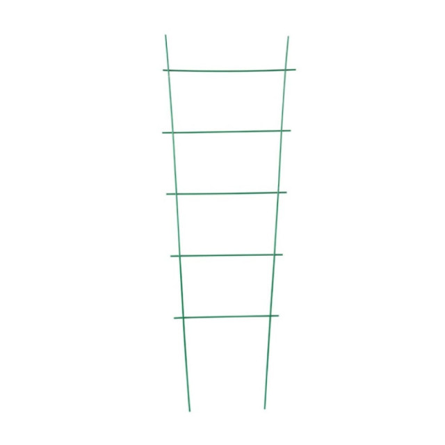 Шпалера Рыжий Кот 520073 Лесенка 60*23 см