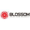 Blossom