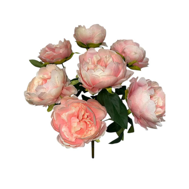 Букет пионов БК 117