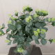 Букет Эвкалипт малый 30 см