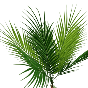 Букет ветка пальмы 50 см