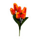 Тюльпан