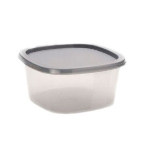 Контейнер SparkPlast BioFresh IS10503 квадратный микс 0.9 л