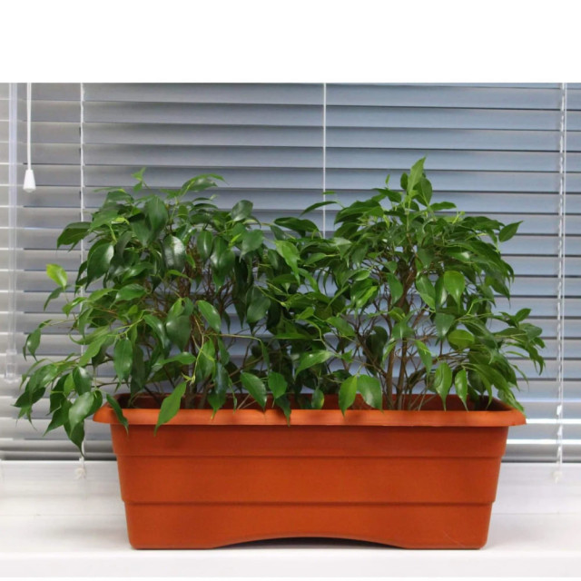 Ящик балконный Гарденпласт №1 терракот 480*170 мм