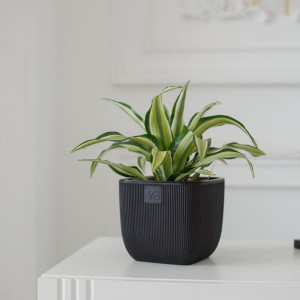 Горшок VipSet  AMF-1.95-11 Фабио с дренажной системой черный 1.95 л