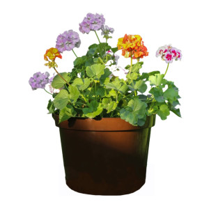 Горшок для цветов Гарденпласт Фикус 20 шоколад 20 л