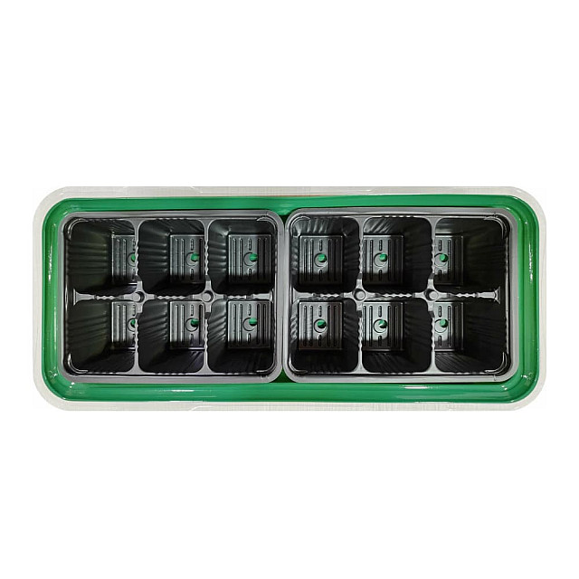 Мини-парник InGreen ING60001F пластмассовый 12 ячеек зеленый 400*174*130 мм