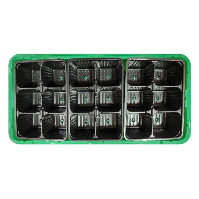 Мини-парник InGreen ING60011F пластмассовый 18 ячеек зеленый 455*215*130 мм