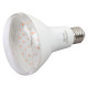 Лампа светодиодная Эра Led FITO-15W-Ra90-2150K-E27 Б0039173