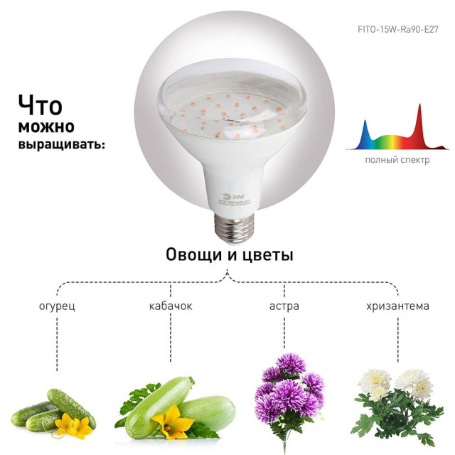 Лампа светодиодная Эра Led FITO-15W-Ra90-2150K-E27 Б0039173