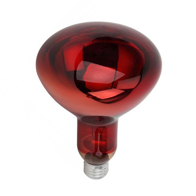 Лампа-термоизлучатель TDM Electric SQ0343-0034 ИКЗК 220 В 250 Вт R127 E27 для курятников