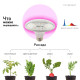 Лампа светодиодная Эра Led FITO-18W-RB-E27 красно-синего спектра Б0049533
