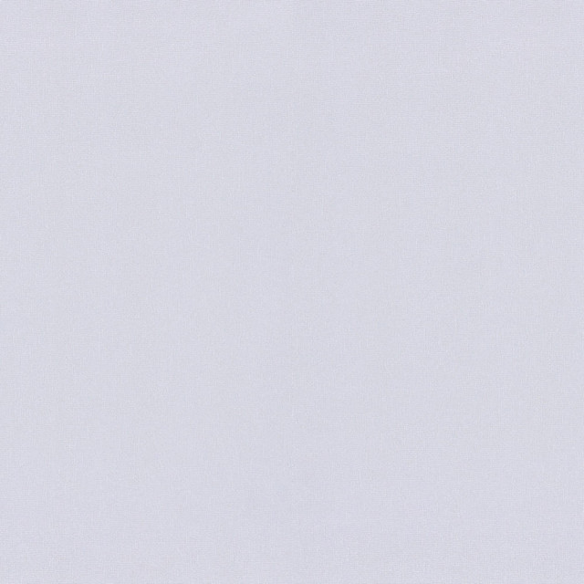 Обои BelVinil Эльза фон 12 10СБ311 1.06*10.05 м