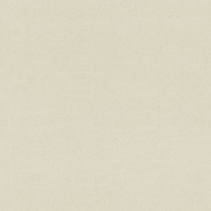 Обои Monte Solaro 6 9299-11 Chantelle фон 1.06*10.05 м