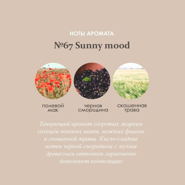 Ароматический диффузор Aroma republic №67 Sunny mood 93830 70 мл
