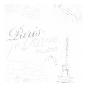 Панель ПВХ Sanrelia Стандарт New Париж серый 233/3 2.5*0.25*0.07 м