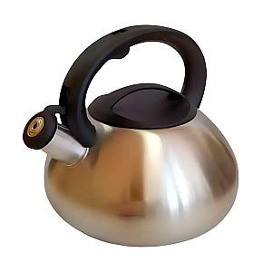 Чайник Astiat AST-1005 со свистком 3 л