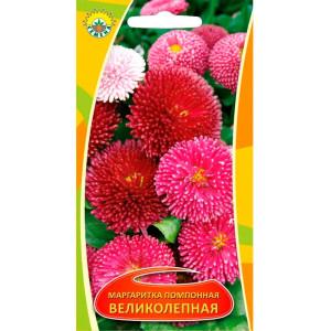 Маргаритка помпонная Великолепная ИП Семена 0.1 г