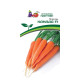 Морковь Агрофирма Партнер Канада F1 0.5 г