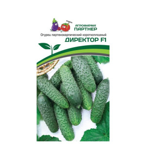 Огурец Агрофирма Партнер Директор F1 5 шт