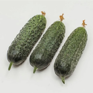 Огурец Агрофирма Партнер Директор F1 5 шт