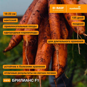 Морковь Агромаркет Бриллианс F1 0.5 г