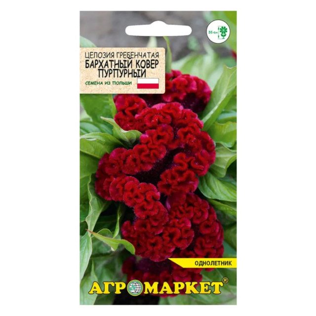 Целозия гребенчатая Агромаркет Бархатный ковер пурпурный 0.2 г