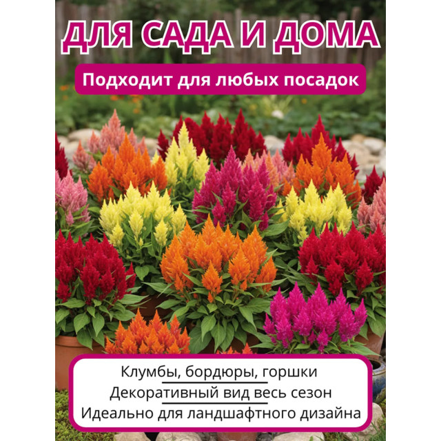 Целозия метельчатая Агромаркет Летние костры 0.2 г