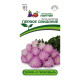 Астра китайская Агрофирма Партнер Первое свидание в ампуле 5 шт