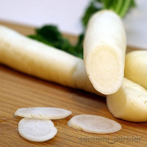Дайкон Дубинушка Агрофирма Партнер 1 г