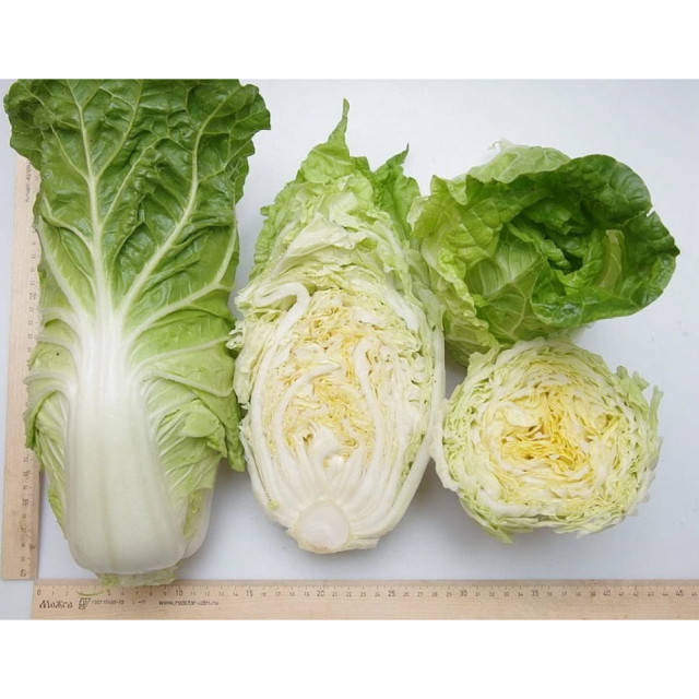 Капуста Пекинская Агрофирма Партнер Нежность F1 0.5 г