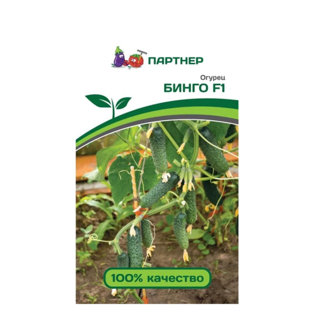 Огурец Агрофирма Партнер Бинго F1 5 шт