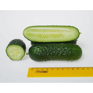 Огурец Агрофирма Партнер Лихач F1 5 шт