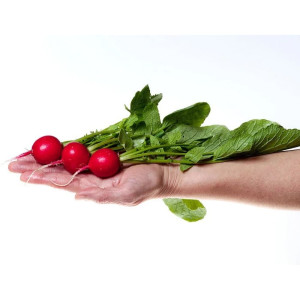 Редис Агрофирма Партнер Черриэт F1 1 г