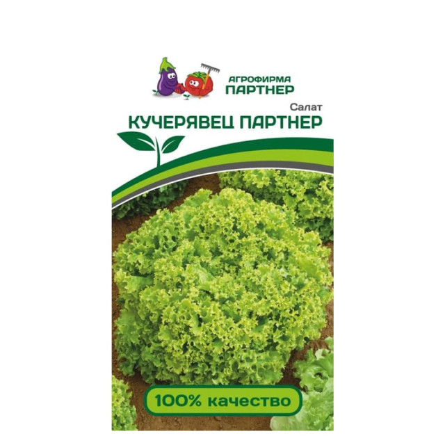 Салат Агрофирма Партнер Кучерявец 1 г