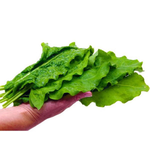 Щавель Агрофирма Партнер Широколистный 1 г