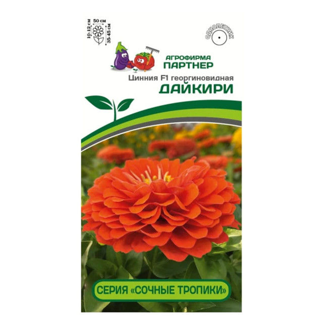 Цинния F1 Агрофирма Партнер Дайкири георгиновидная 4 шт