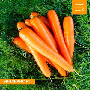 Морковь Агромаркет Бриллианс F1 0.5 г