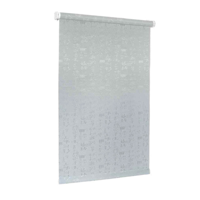 Штора рулонная Delfa Азия СРШ-01М-25104 61(57)/170 см серый