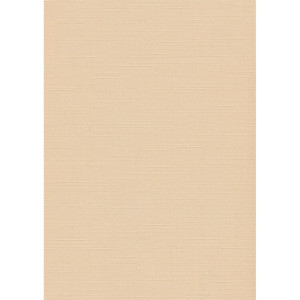 Штора рулонная Delfa Сантайм Лен СРШ-01МЭ-2070 72(68)/160 см абрикосовый