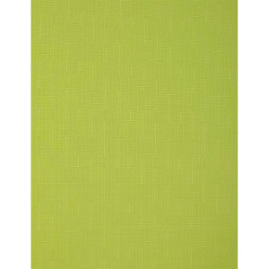 Штора рулонная Delfa Сантайм Лен СРШ-01МЭ-2653 72(68)/160 см светло-зеленый