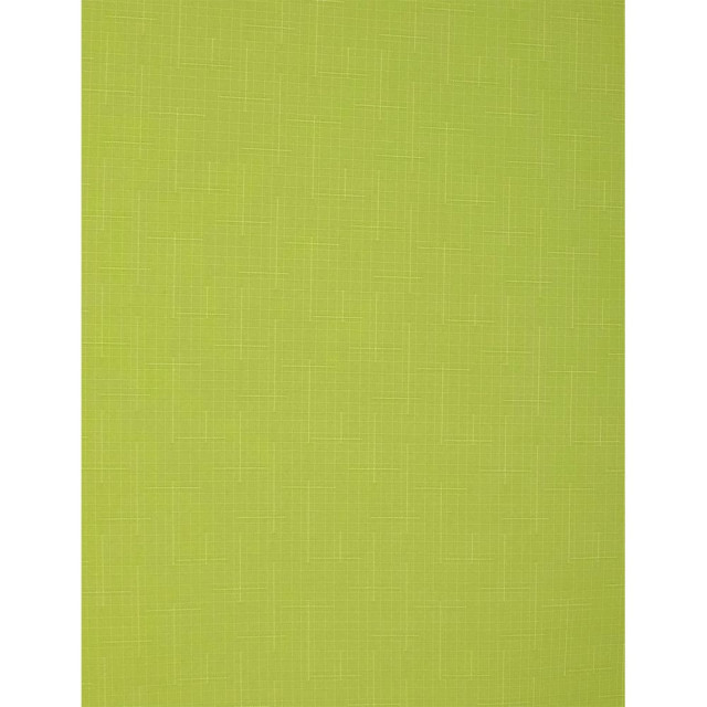 Штора рулонная Delfa Сантайм Лен СРШ-01МЭ-2653 77(73)/160 см светло-зеленый