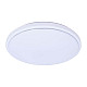 Светильник светодиодный Max Light Decor 203 72W 3000-6000К 500 мм