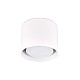 Светильник накладной Ambrella Techno Spot TN700 WH GX53 100*80 мм белый