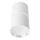 Светильник потолочный Feron Barrel Zen ML186 48640 MR16 35W 230V GU10 белый хром