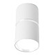 Светильник потолочный Feron Barrel Zen ML186 48640 MR16 35W 230V GU10 белый хром