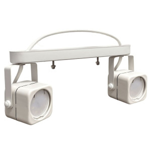 Светильник накладной TruEnergy Focus 21353 двойной поворотный спот под лампы 2*GU10 металл белый